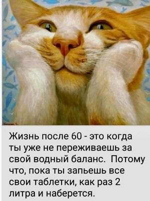 https://s10.iimage.su/s/01/gAdj5D8xBso7becBmQmK3PHFz9KZpWofh6jXPzygw.jpg