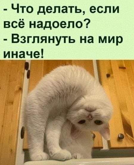 https://s10.iimage.su/s/01/gQGztCgxctRE7Vc50ToZYIBud8jY5w8jczz9OwhE5.jpg