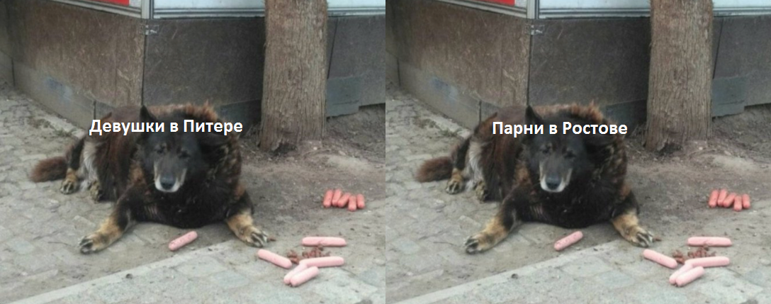 gYSPzNexA2bAcFDZIyXo71l6AAwWIOKqr7Dyl9y6