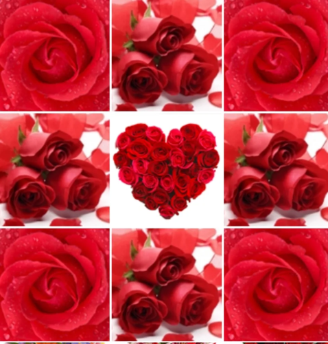 th_gIfZ0PWxAyFf70AZXRYUCn9U2WQ6l5sCcu5dEbQ31.png