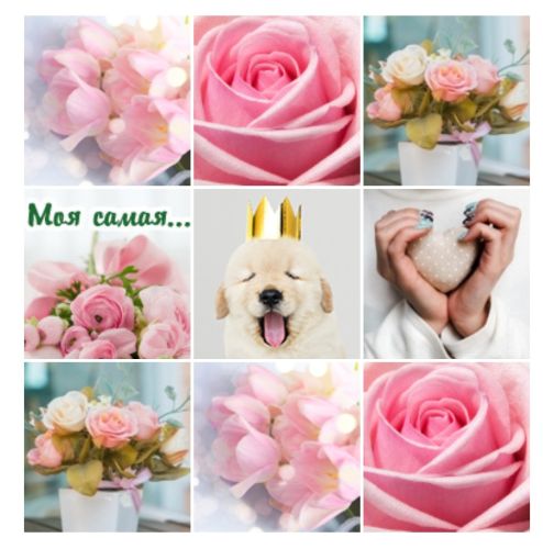 th_gpAedncxwfwb8nkRzlSlgMzoHzLYELK5HKH7indCe.jpg