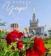 100 крестиков!