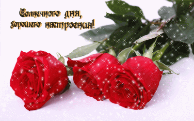 100 крестиков!