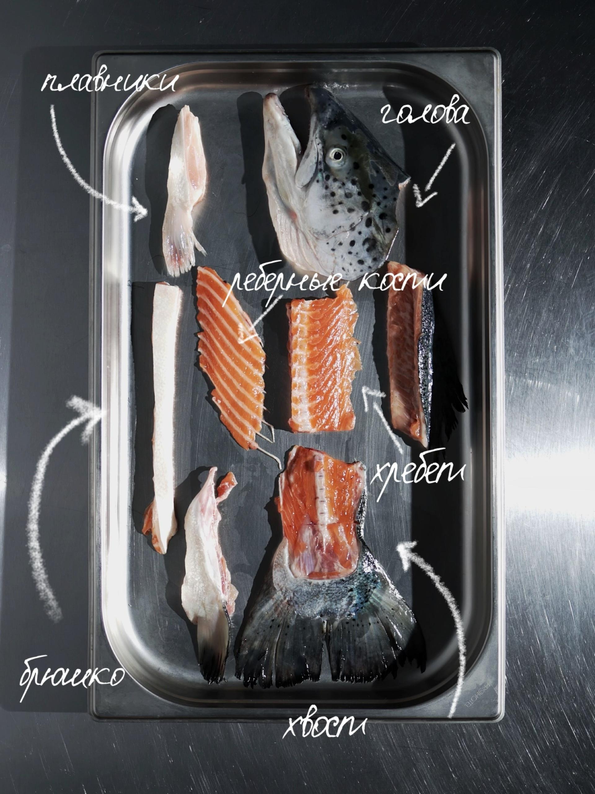 Форматы разделки рыбы FISK