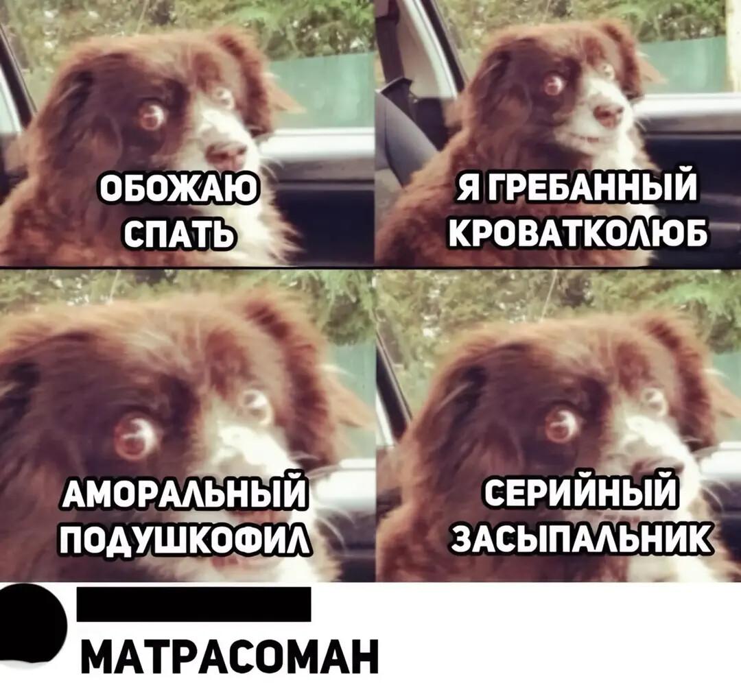 goil6fixo3fo2yff5rrjaum05t9whabqaU7mWhWa