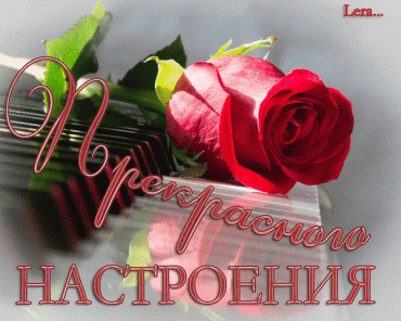 Margaritka. Гасиенда Каса де лос Суэньос