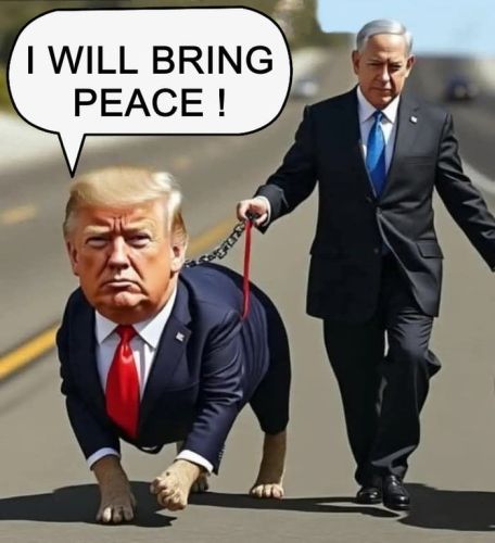 https://s10.iimage.su/s/17/th_ggAlvp9xiDozRiohlpNZPguqrRlJi5B5l8a0hcWTt.jpg
