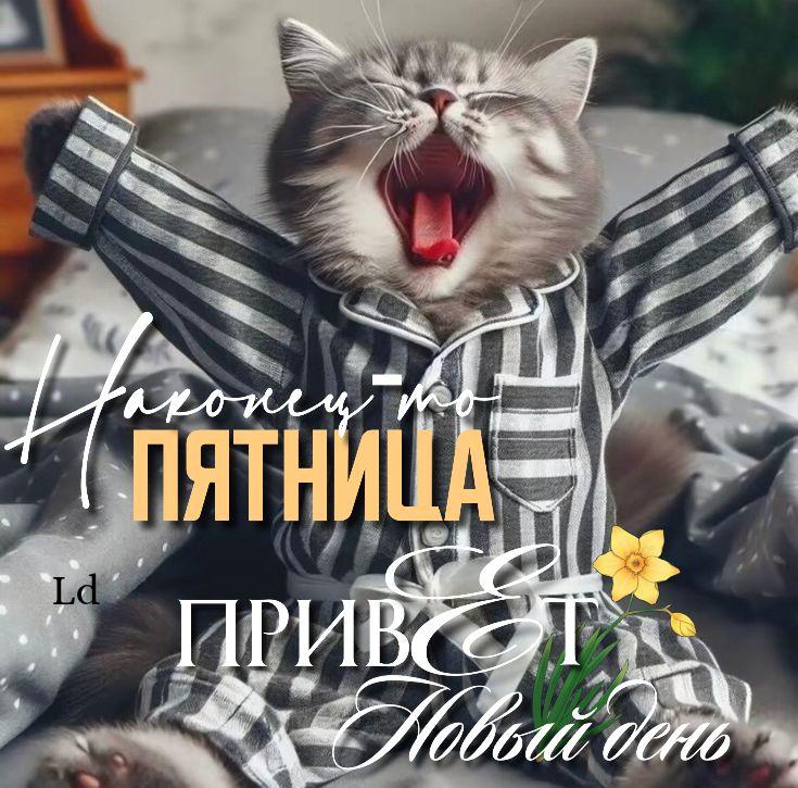 g4qR133xQSDPcZ1qCSD7F17lzMv1OUAyl52CRFen