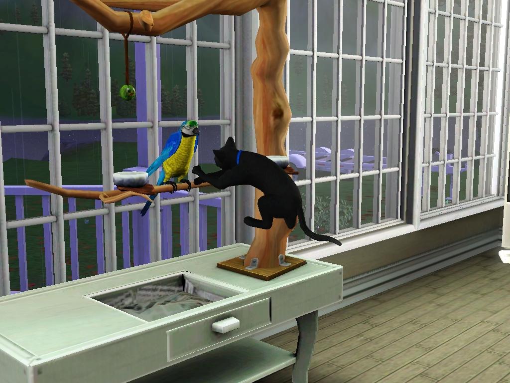 gBEt7vKx2zcbUus3D4DhTaA5nZXjcBqDpmrleCNKX.jpg